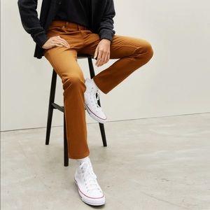 NWOT Everlane Performance 5-Pocket Pant, Copper Brown, 29x30